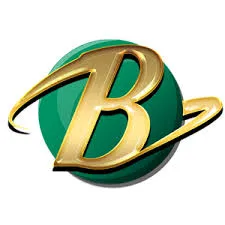 bumi303 APK SLG